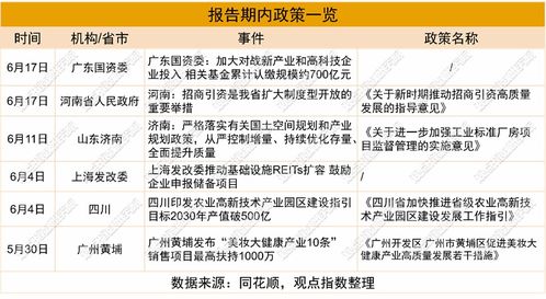 2025年6月產業(yè)園區(qū)暨基礎設施投資發(fā)展報告 項目投資與管理分析